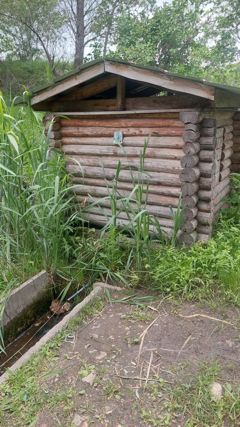Безымянный с. Богатое
