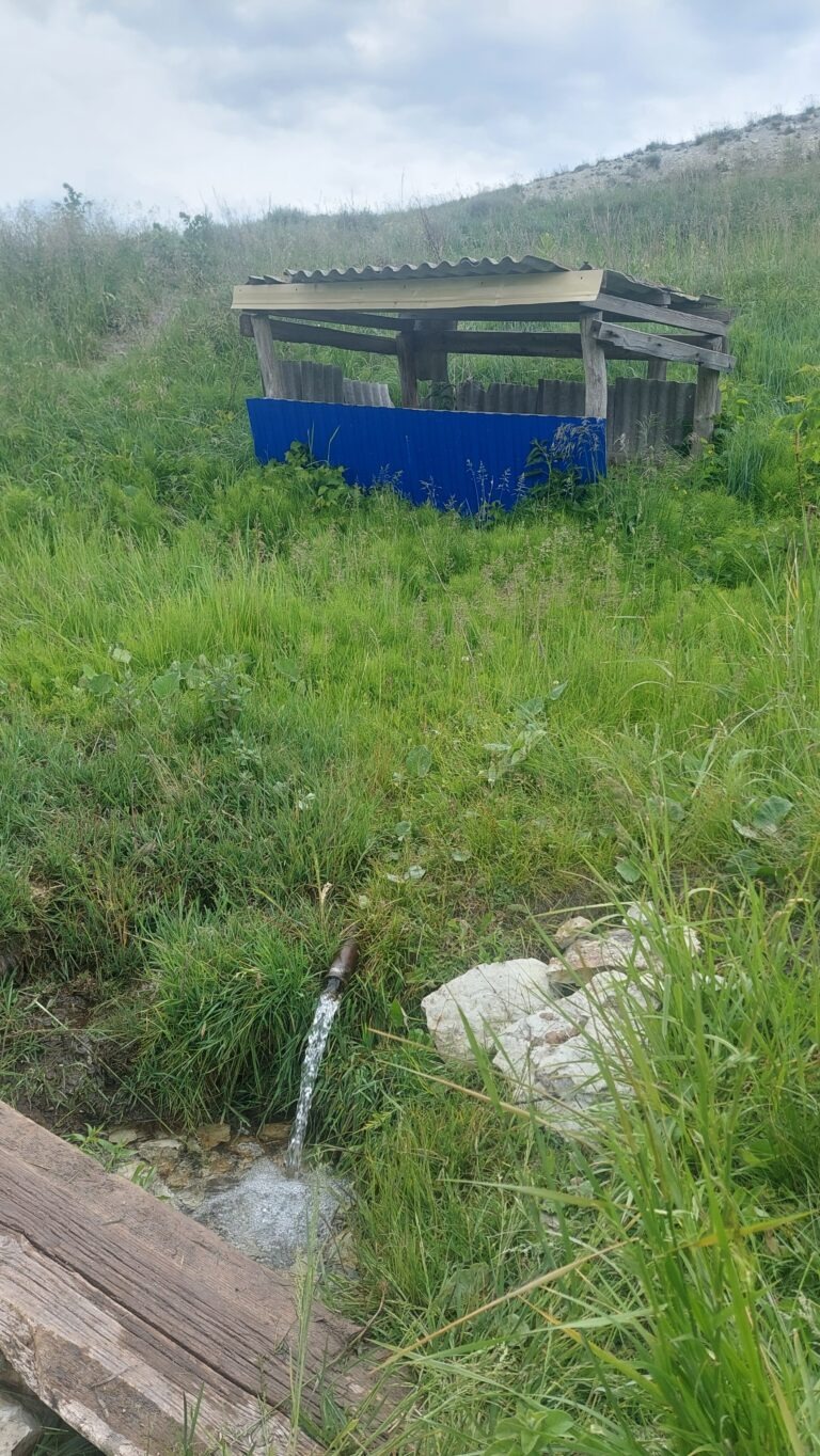 Мельничный