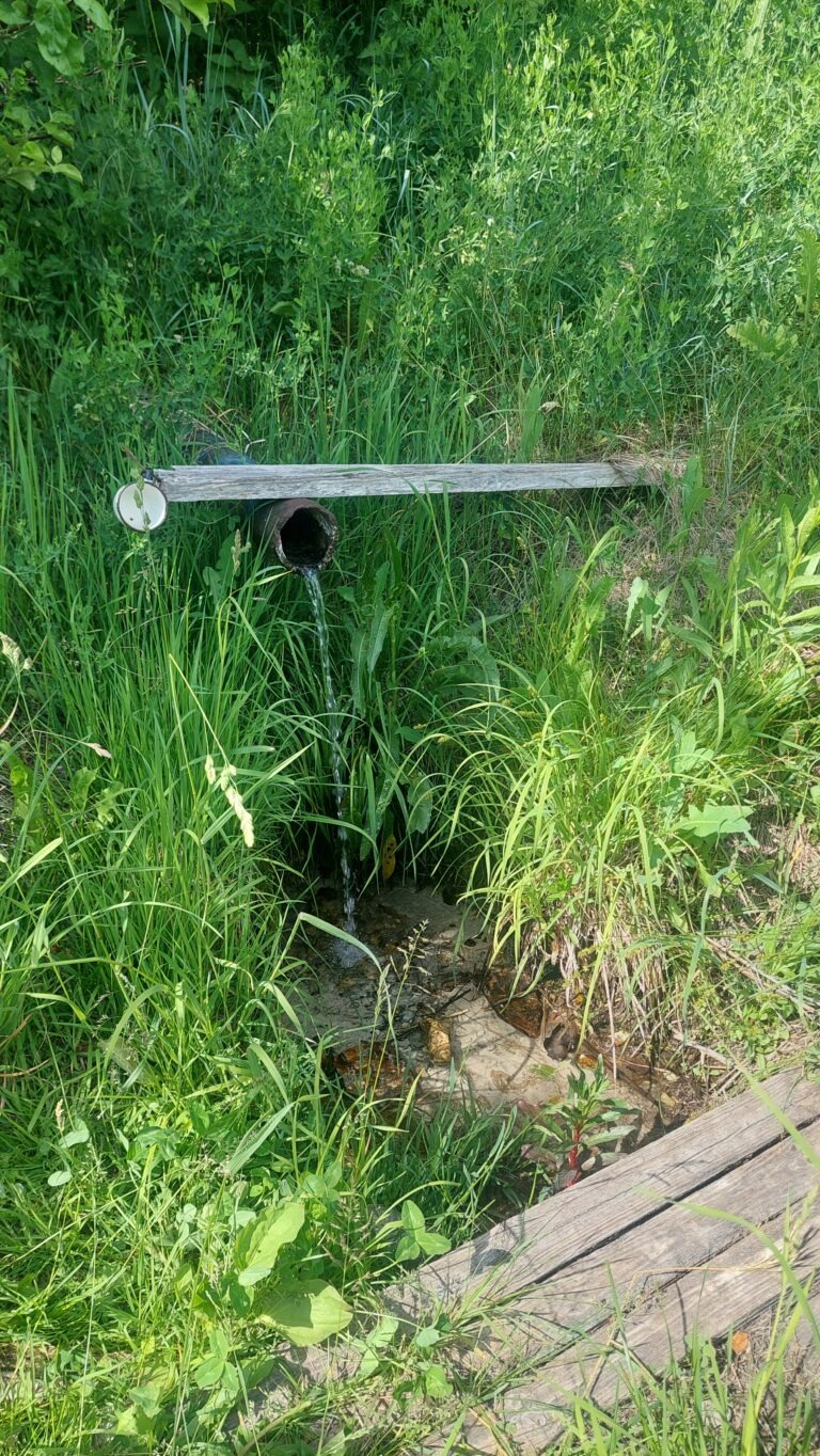 Водопойный