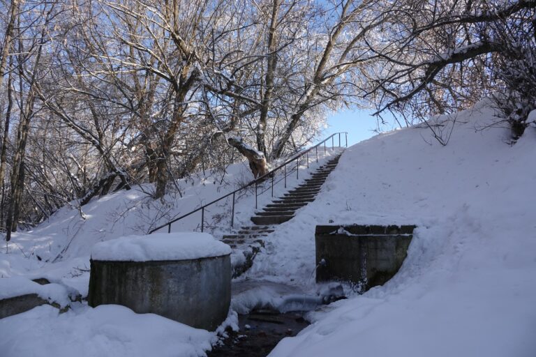 Тарасовский (Сухой)